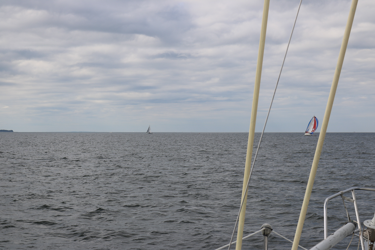 MSSA 39th Annual ACS Regatta  ~~  COVID Edition