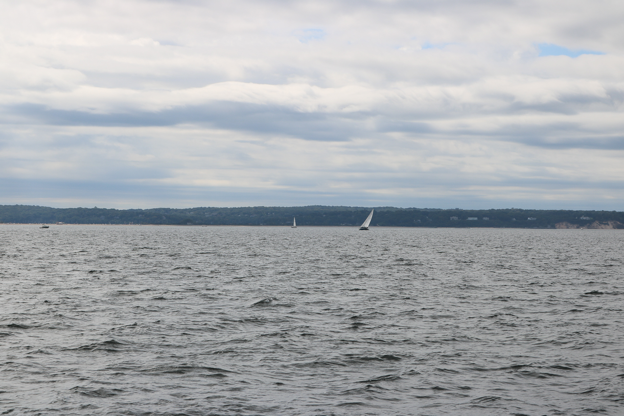 MSSA 39th Annual ACS Regatta  ~~  COVID Edition