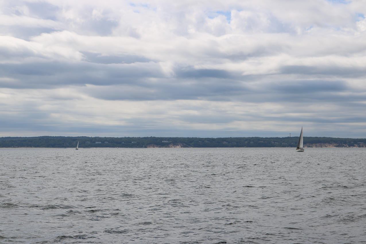 MSSA 39th Annual ACS Regatta  ~~  COVID Edition