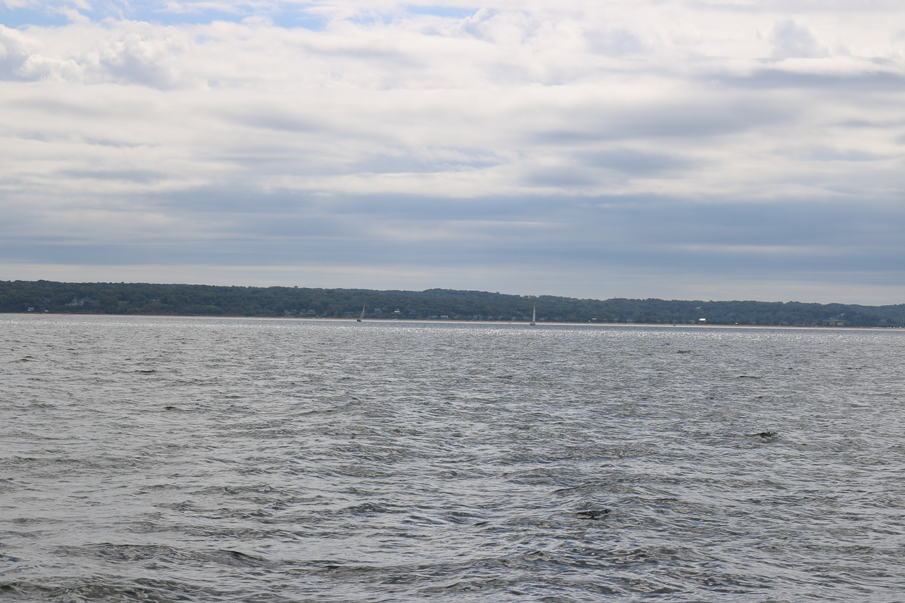 MSSA 39th Annual ACS Regatta  ~~  COVID Edition