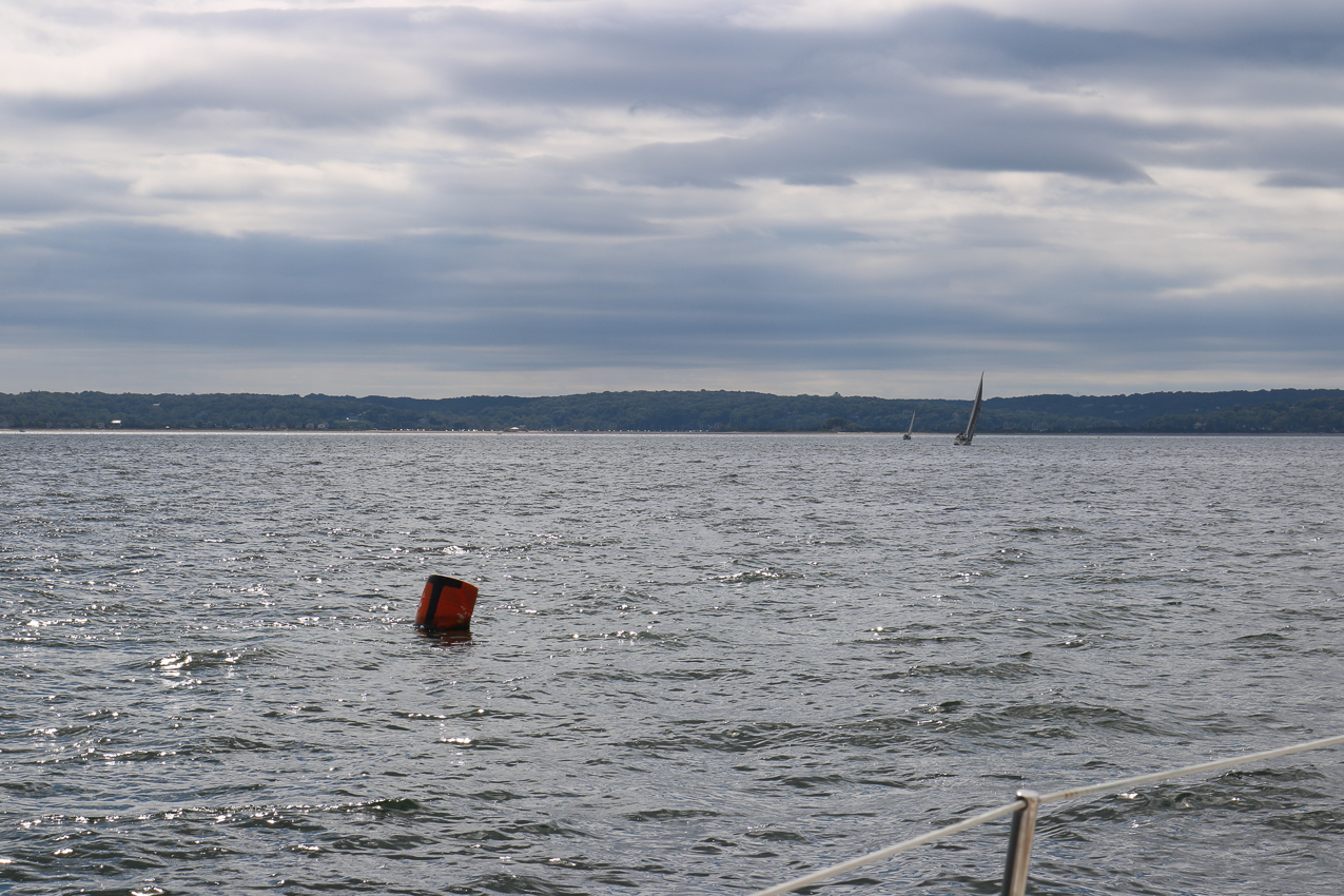 MSSA 39th Annual ACS Regatta  ~~  COVID Edition