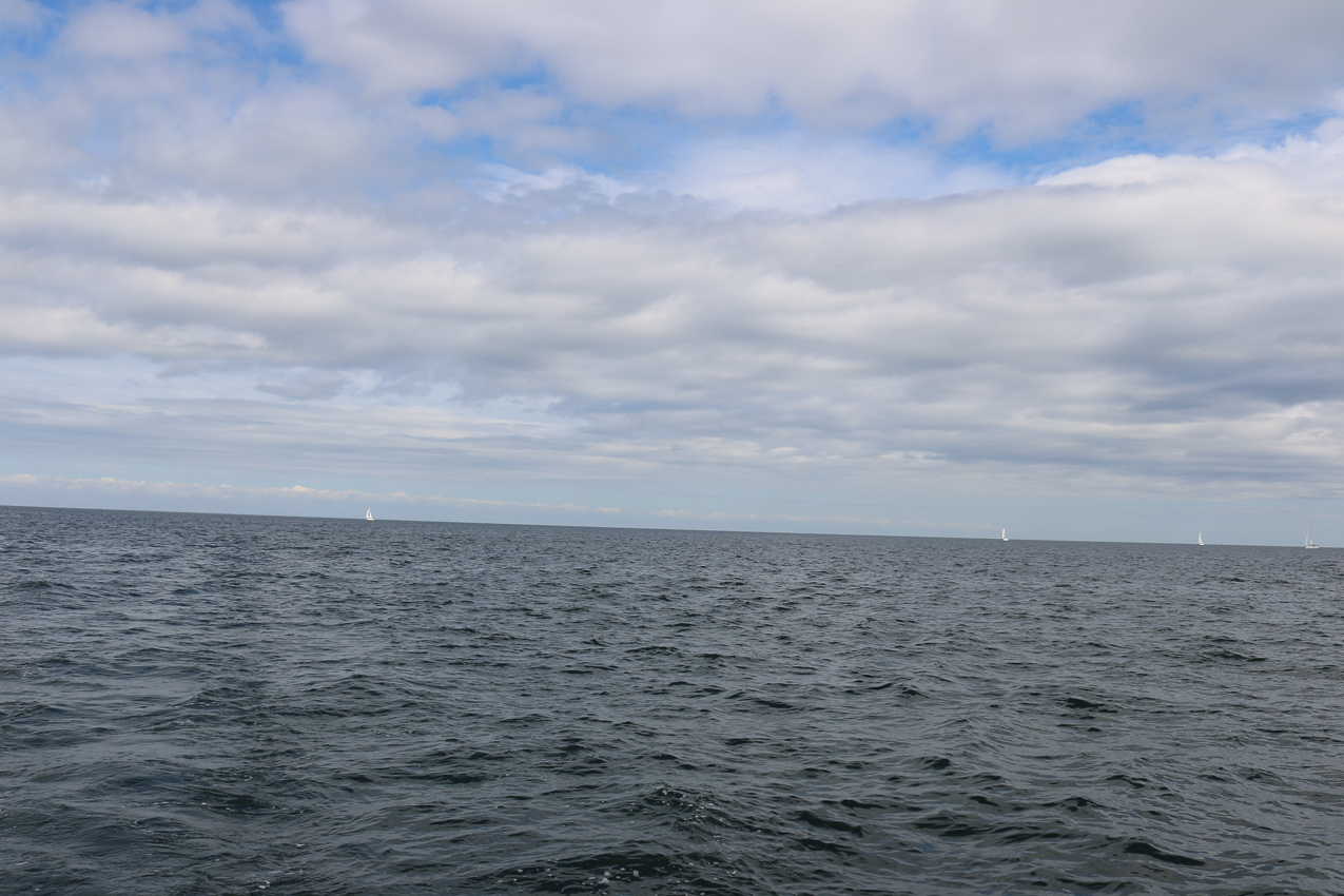 MSSA 39th Annual ACS Regatta  ~~  COVID Edition