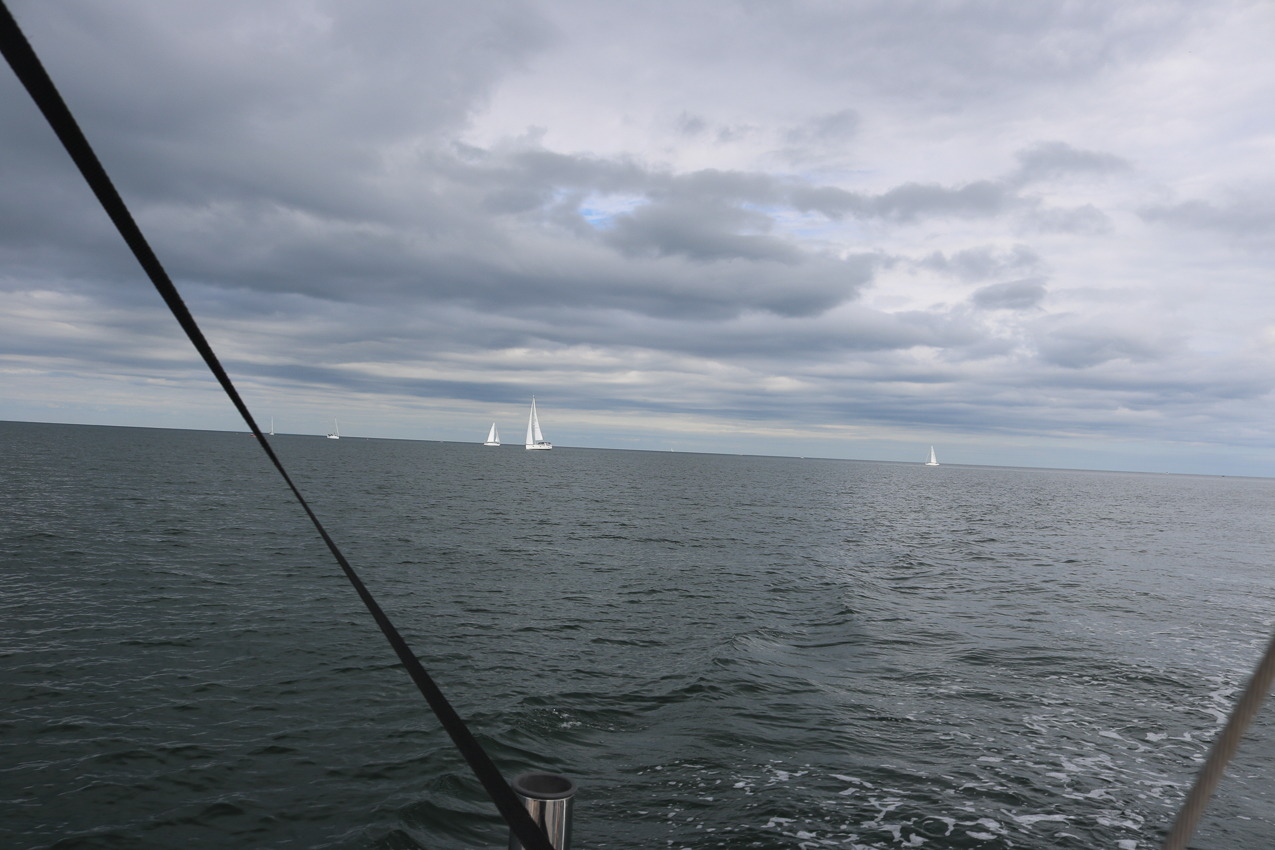 MSSA 39th Annual ACS Regatta  ~~  COVID Edition