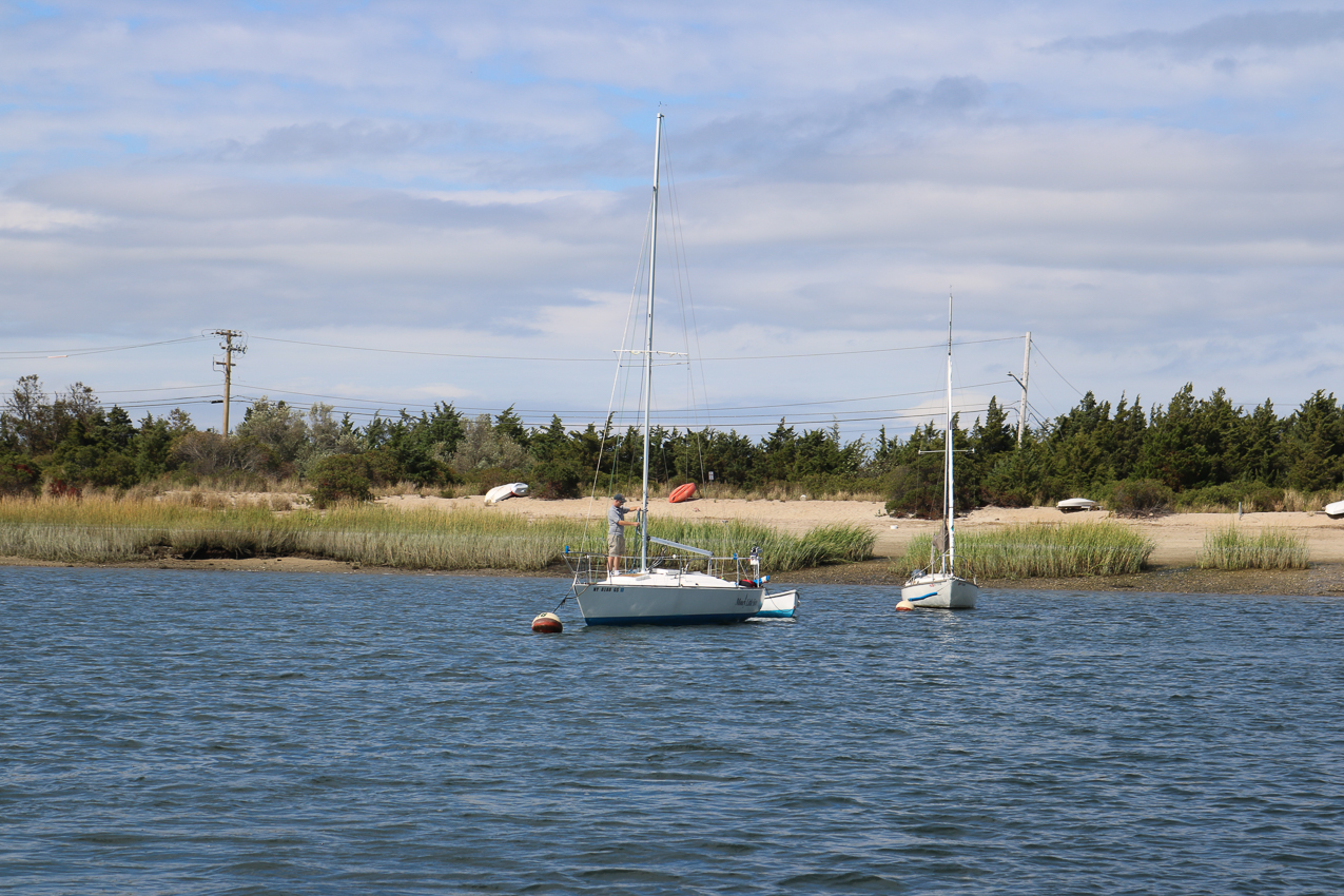 MSSA 39th Annual ACS Regatta  ~~  COVID Edition