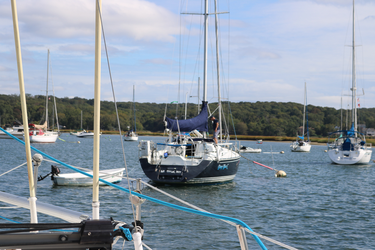 MSSA 39th Annual ACS Regatta  ~~  COVID Edition