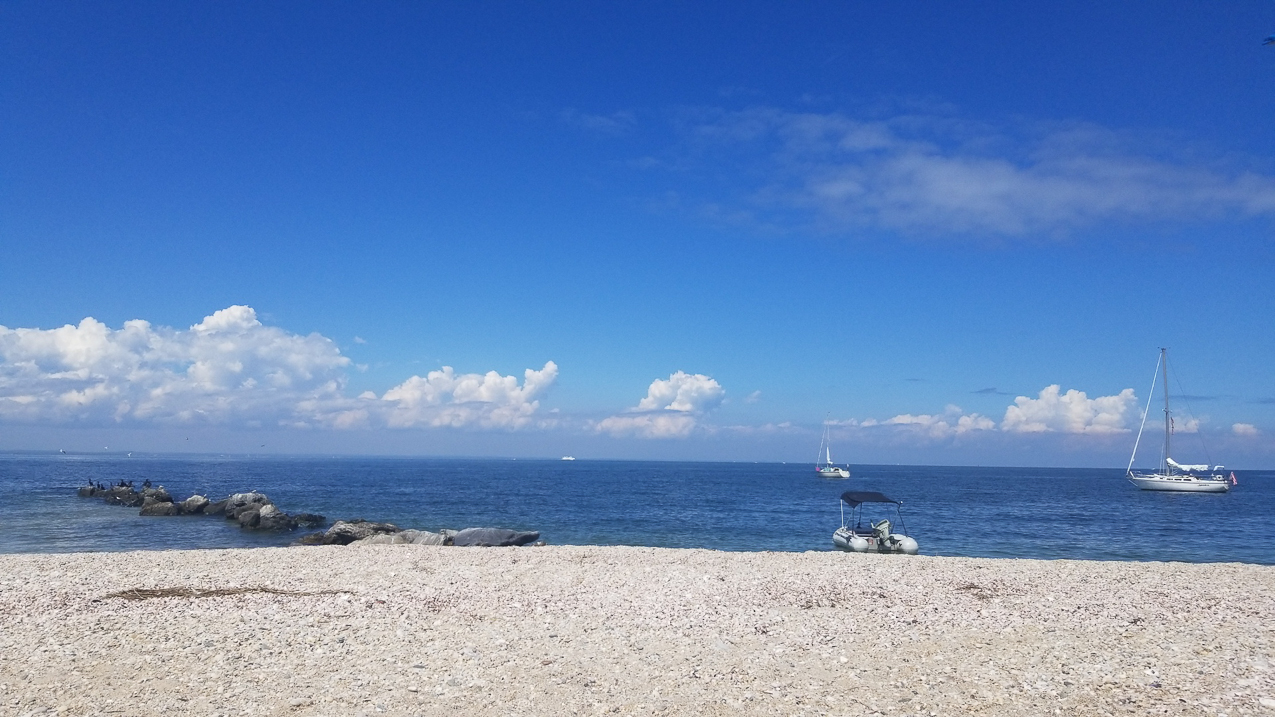 A day at the 2020 MSSA Flax Pond Event   ~~  