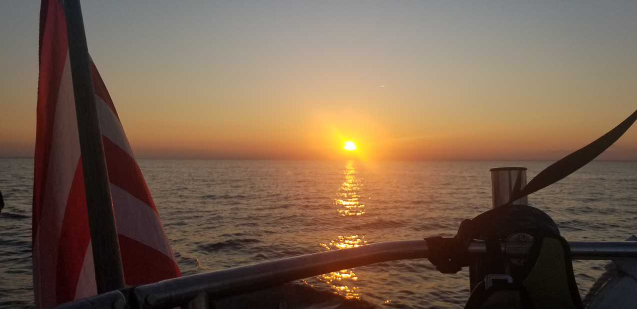 A day at the 2020 MSSA Flax Pond Event   ~~  