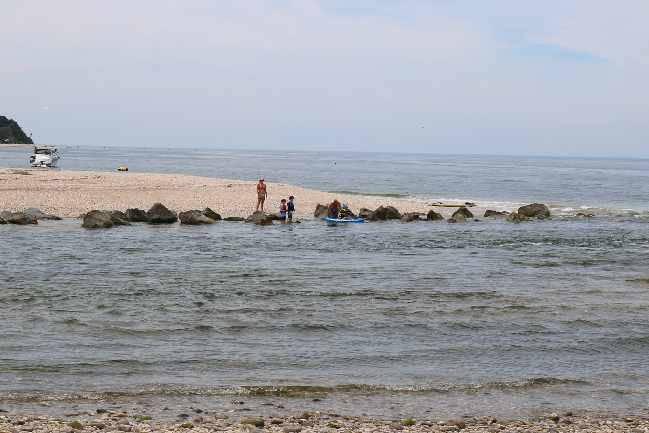 Flax Pond July Trip  ~~  