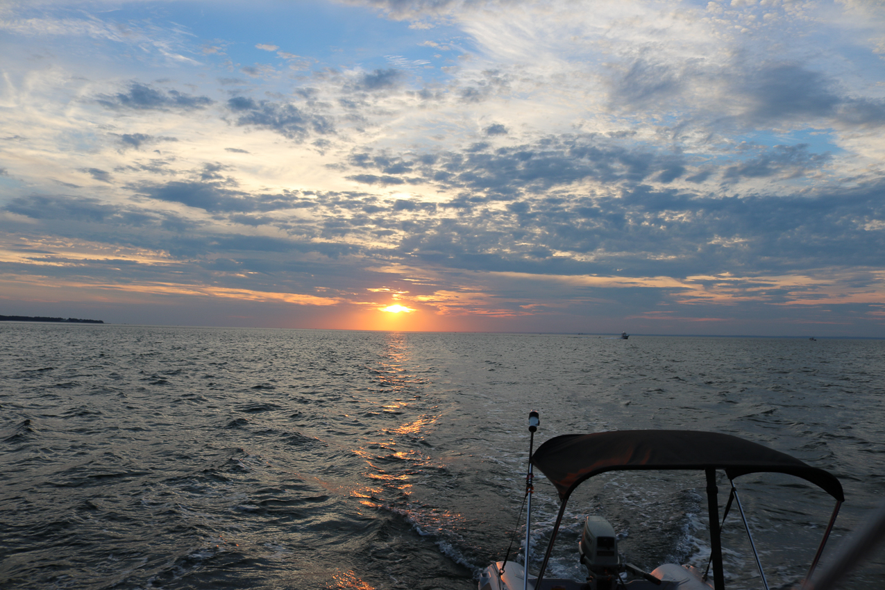 Flax Pond July Trip  ~~  
