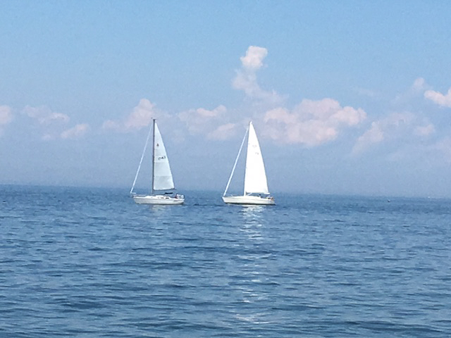 2016 Mt. Sinai Sailing Assoc American Cancer Society 35th Annual Regatta  ~~  Akula coming in after the race