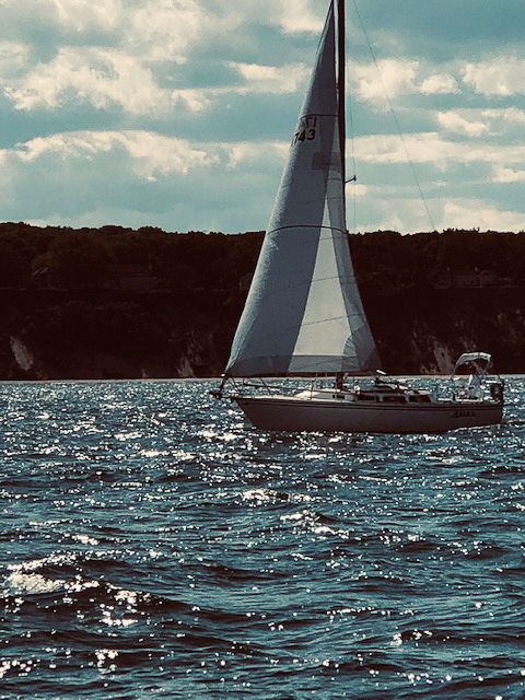 Akula by Jean Hall  ~~  