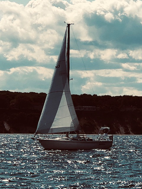 Akula by Jean Hall  ~~  