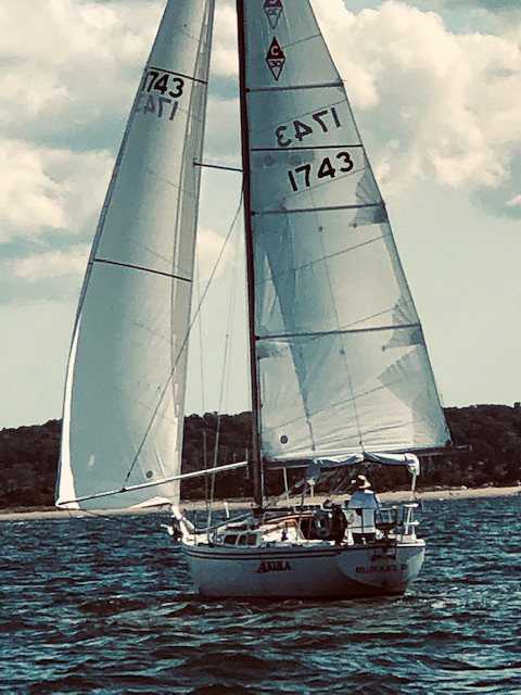 Akula by Jean Hall  ~~  