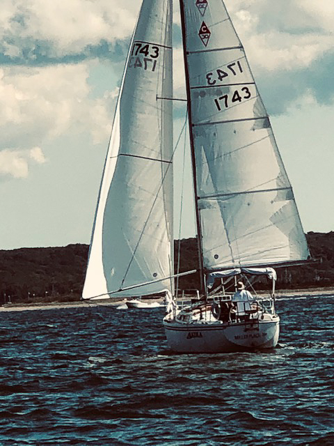 Akula by Jean Hall  ~~  