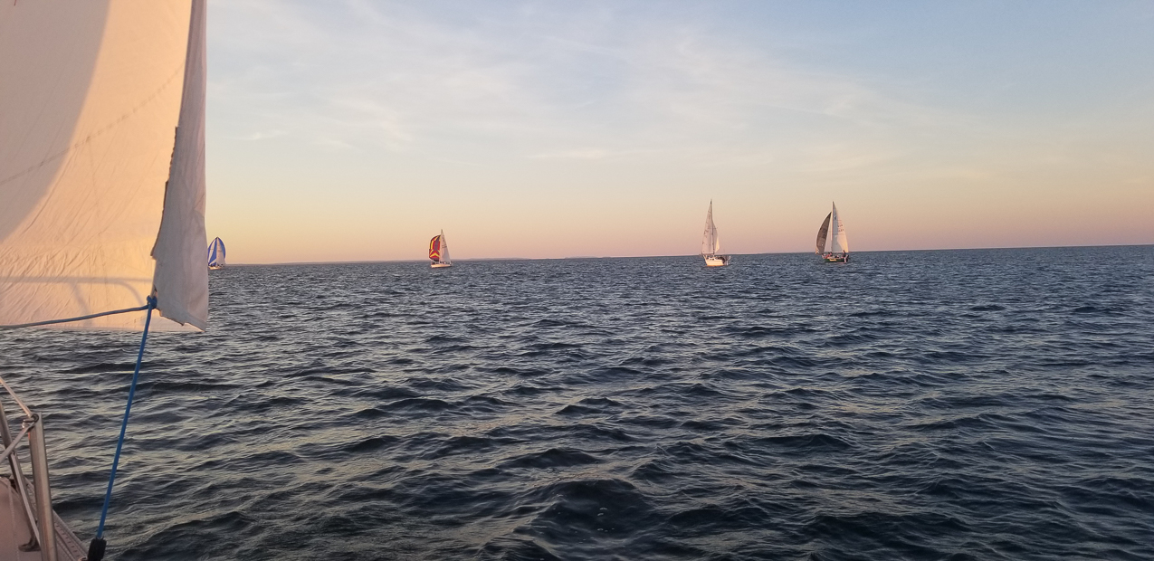 MSSA Summer Series #7   ~~  