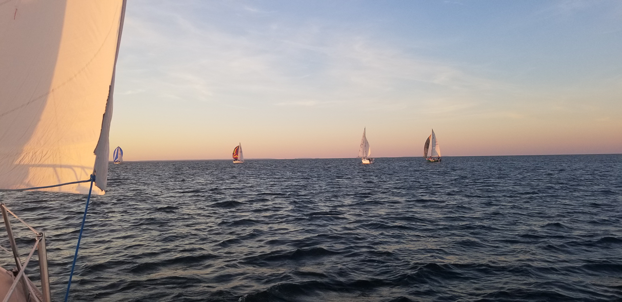 MSSA Summer Series #7   ~~  