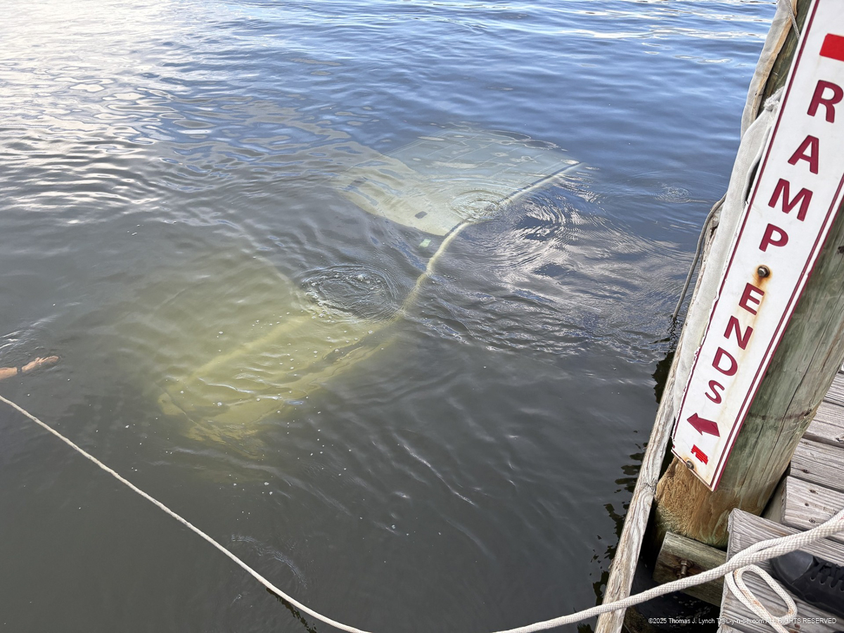 Trailing : Venice 2025 Ramp fiasco