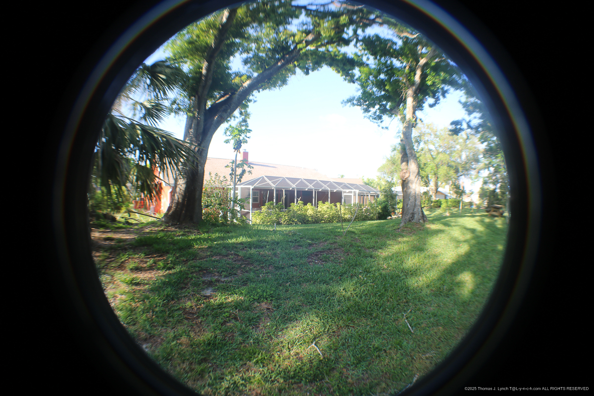 361 Woodvale March 8 2024