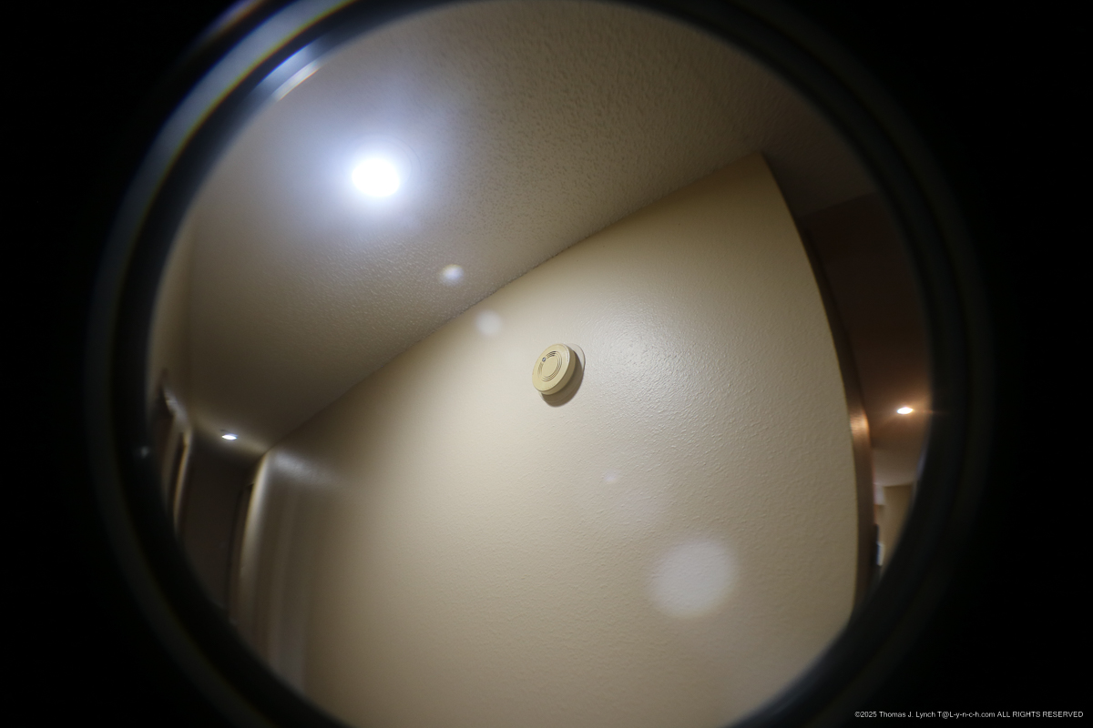 361 Woodvale March 8 2024