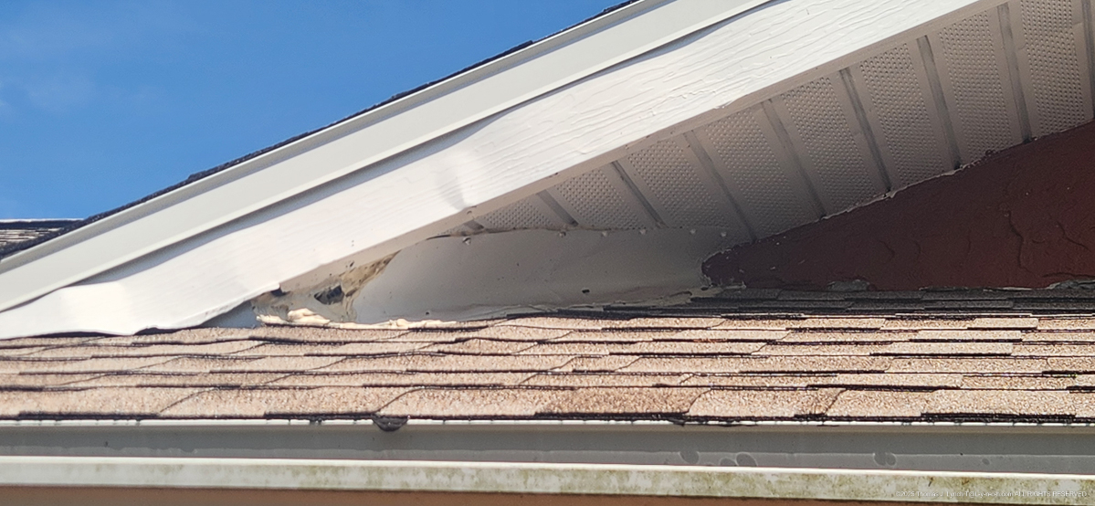 361 Woodvale March 9  2024