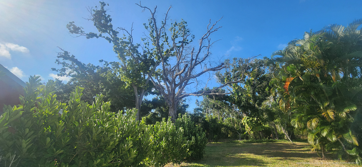 Woodvale Renovation Continues