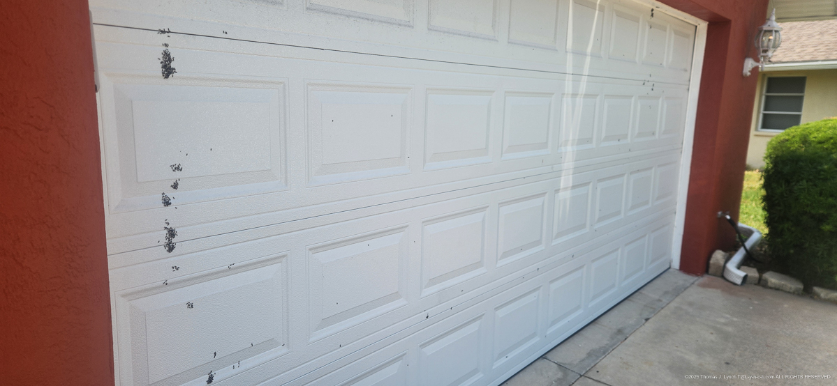 bugs on the garage door