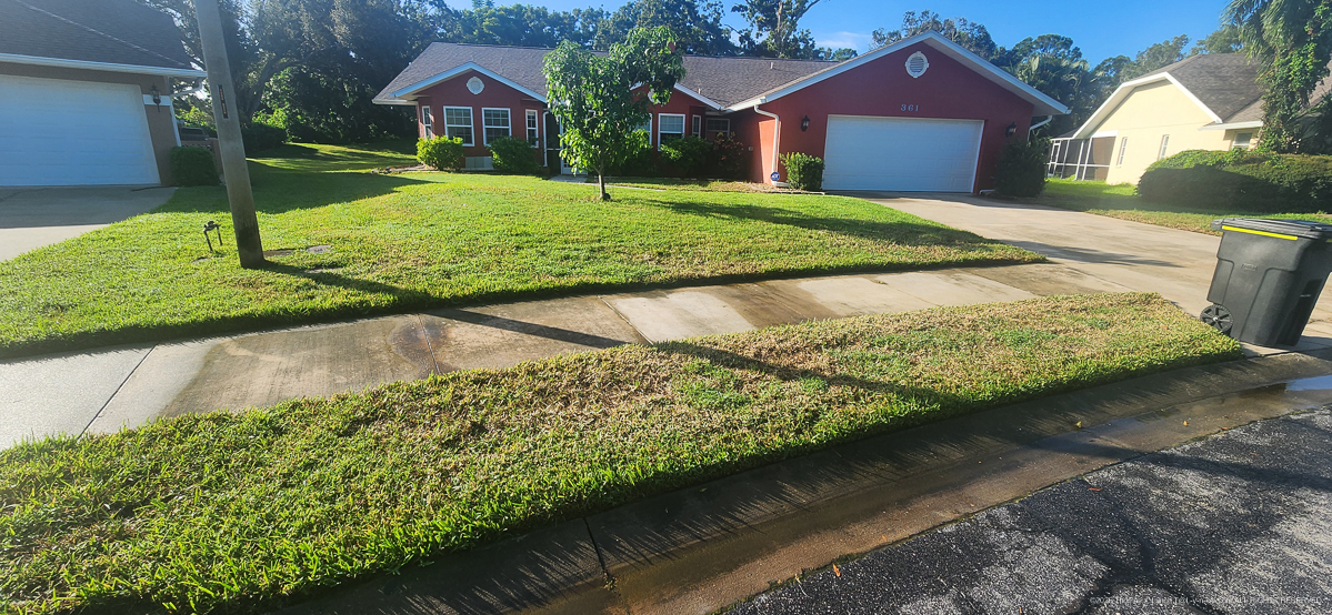 August 2,4D Lawn Torching....