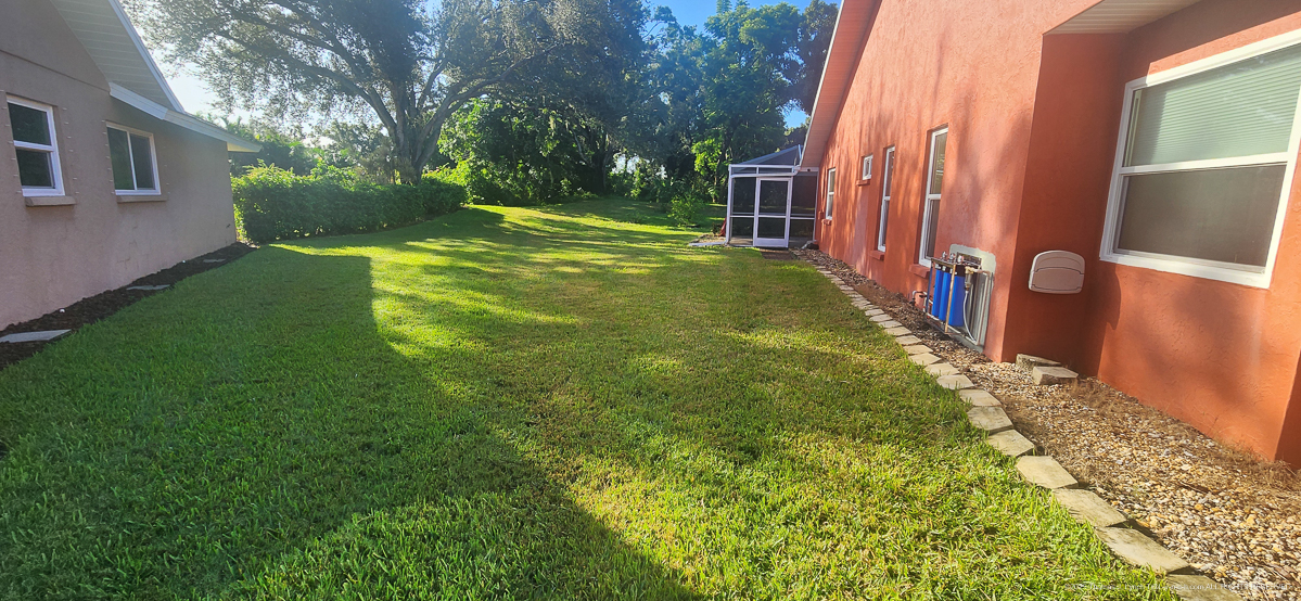 August 2,4D Lawn Torching....