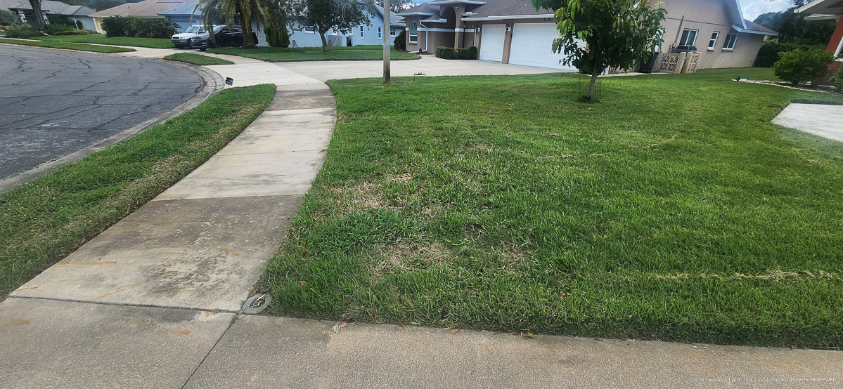 Celcius Application (rained 4 hours later......)  