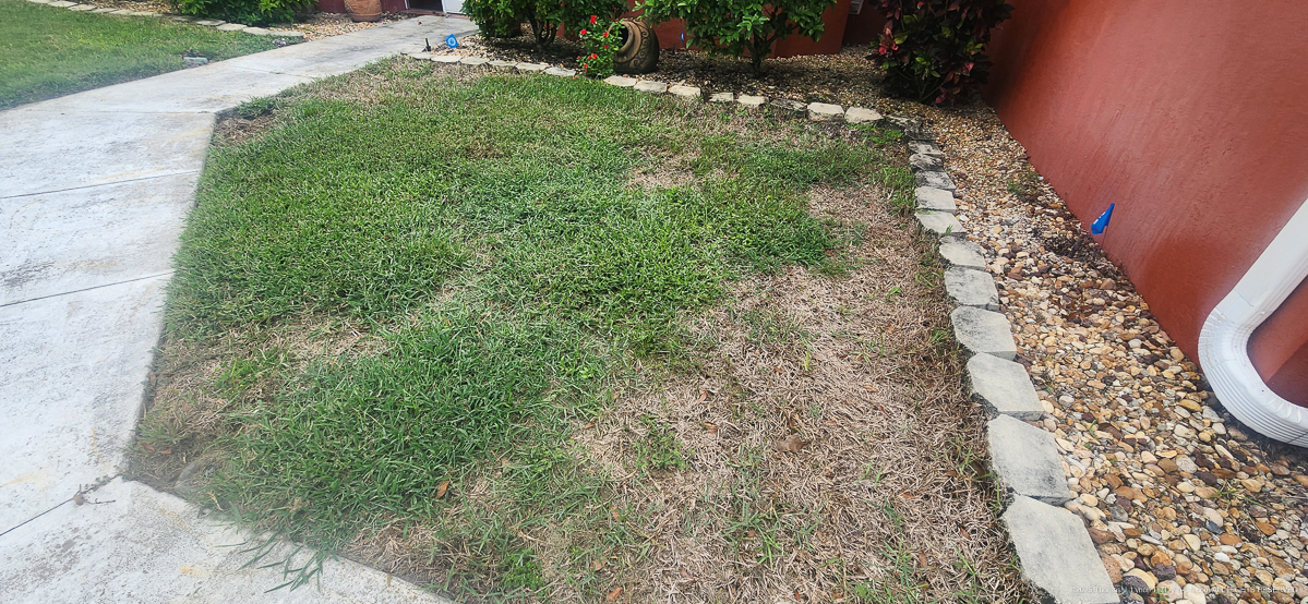 Celcius Application (rained 4 hours later......)  