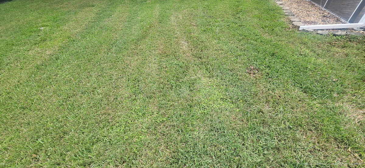 Celcius Application (rained 4 hours later......)  