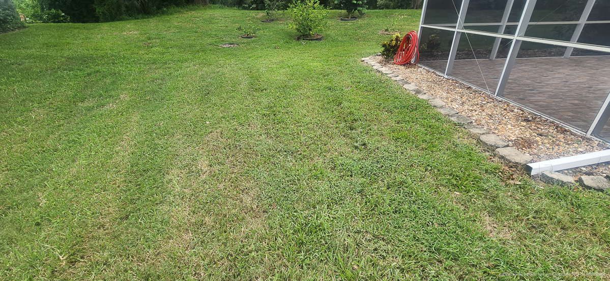 Celcius Application (rained 4 hours later......)  