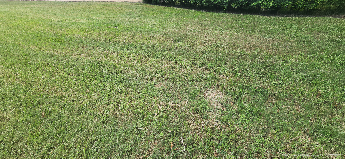 Celcius Application (rained 4 hours later......)  