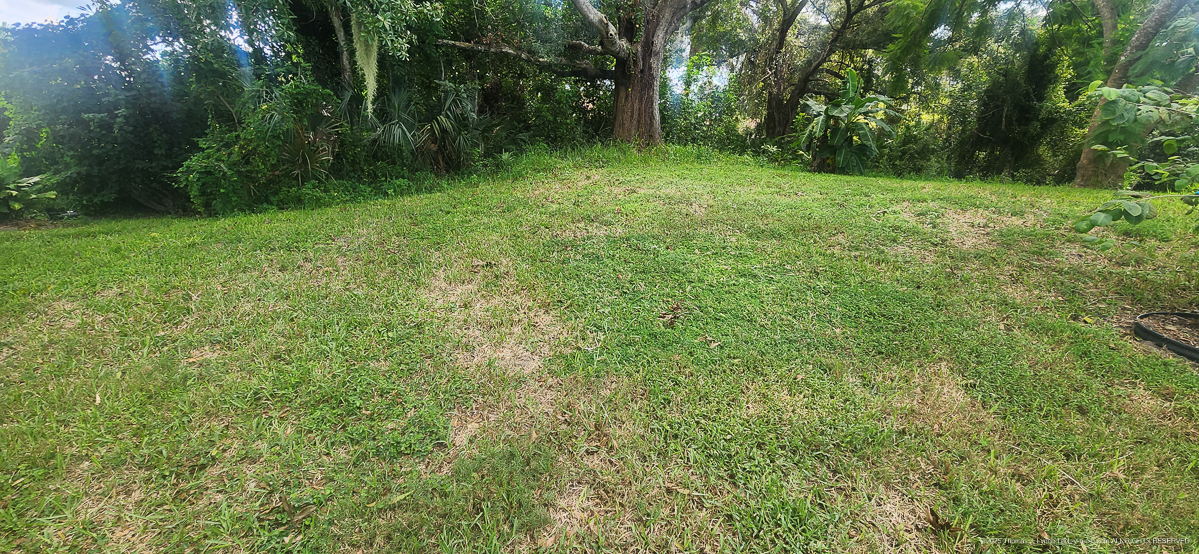 Celcius Application (rained 4 hours later......)  