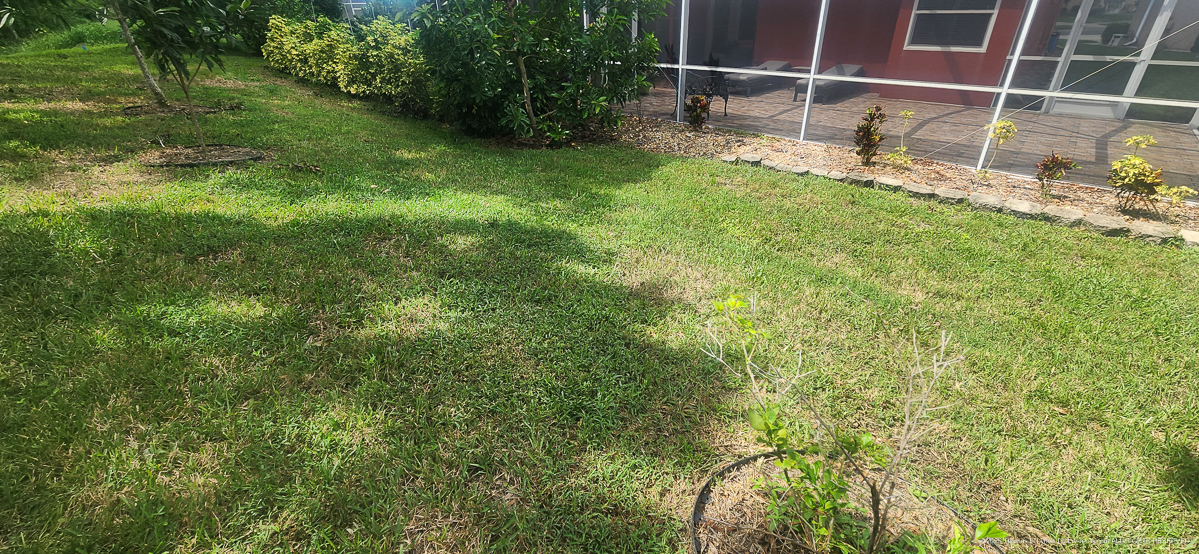 Celcius Application (rained 4 hours later......)  