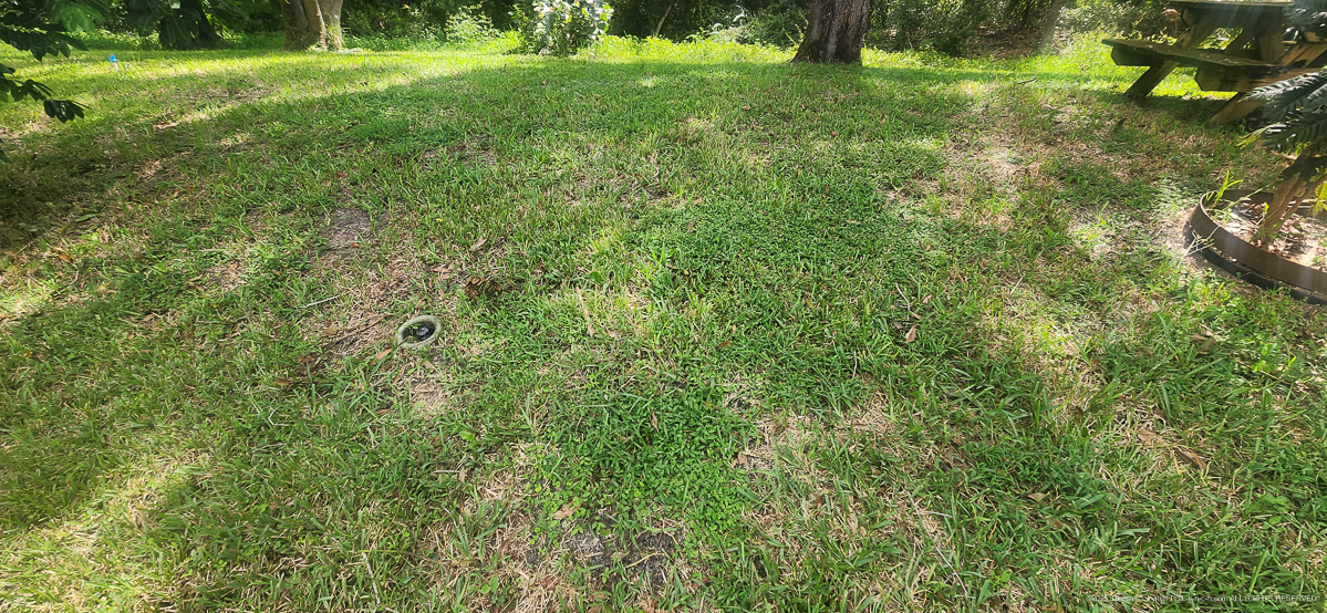 Celcius Application (rained 4 hours later......)  