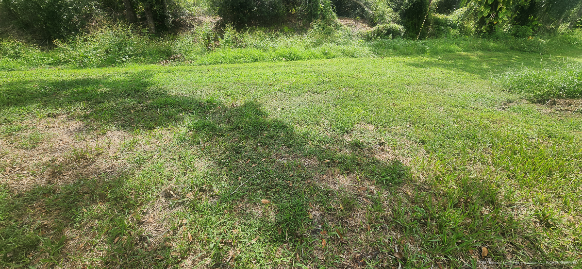 Celcius Application (rained 4 hours later......)  