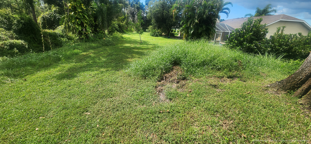 Celcius Application (rained 4 hours later......)  