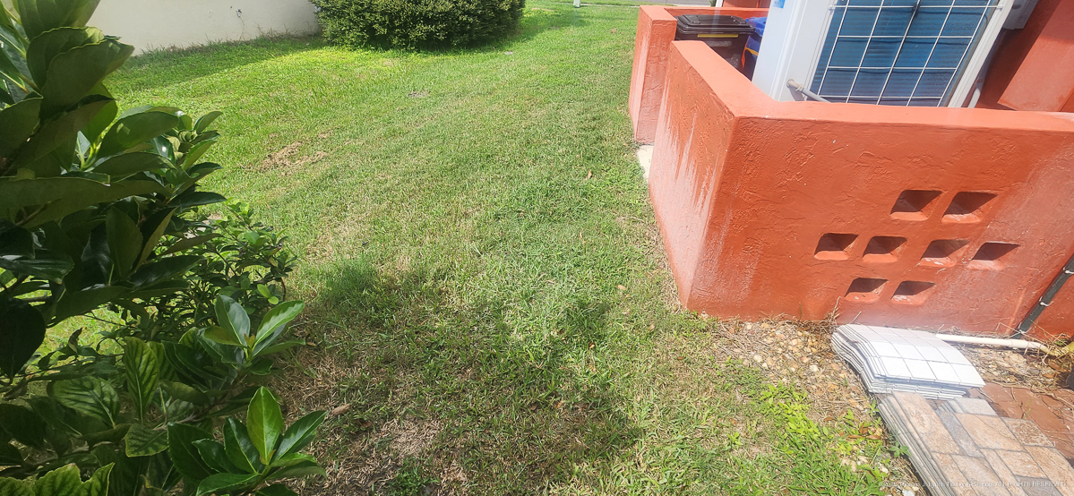 Celcius Application (rained 4 hours later......)  