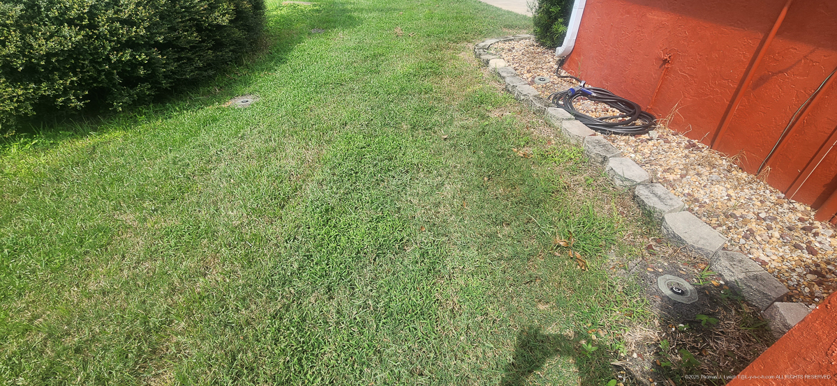 Celcius Application (rained 4 hours later......)  