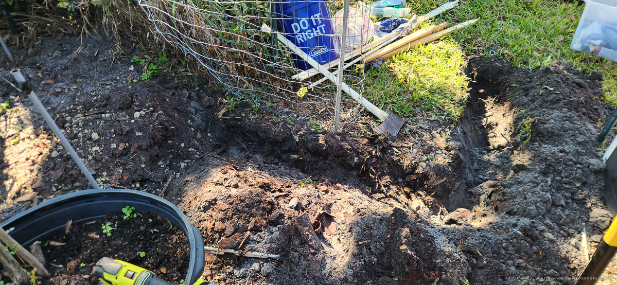 sprinkler project 2024