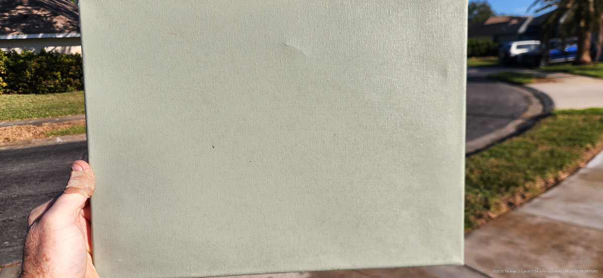 Woodvale House New Color