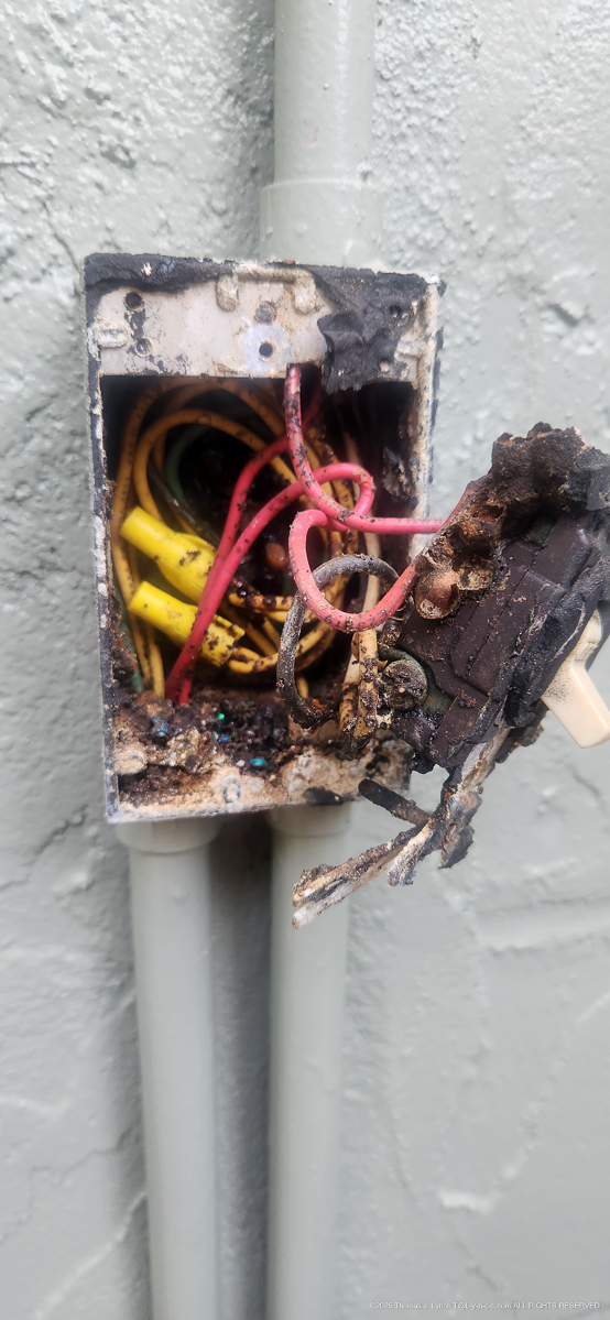 Irrigation Project 2025